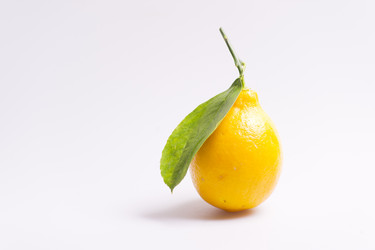 Similar image 499177