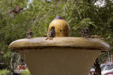 Similar image 499189