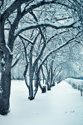 Similar image 499209