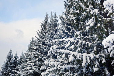 Similar image 499217