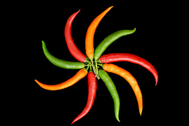 Similar image 499253