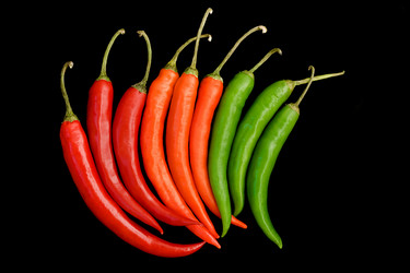 Similar image 499255