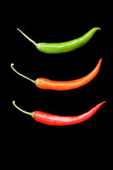 Similar image 499264