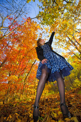 Similar image 499267