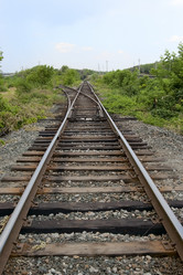 Similar image 499275