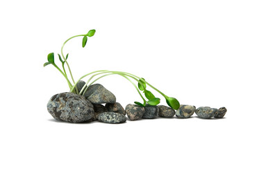 Similar image 499282