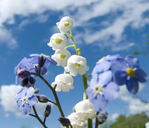 Similar image 499288