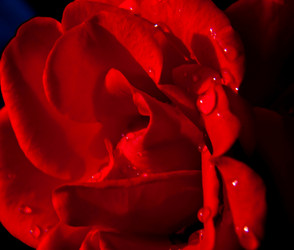 Similar image 499290