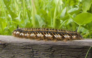 Similar image 499295