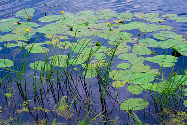 Similar image 499300