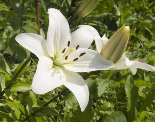 Similar image 499301