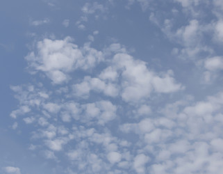 Similar image 499304