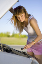 Similar image 499305