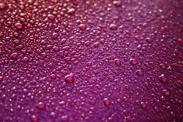 Similar image 499323