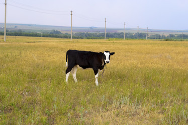 Similar image 499330