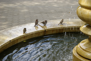 Similar image 499336