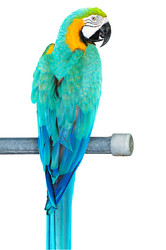 Similar image 499351