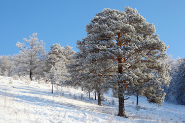 Similar image 499376