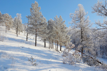 Similar image 499382