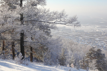 Similar image 499383