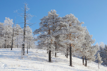 Similar image 499442