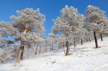 Similar image 499444