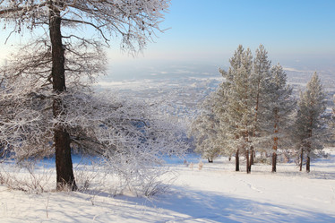 Similar image 499445