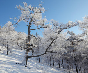 Similar image 499447