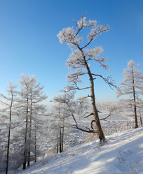 Similar image 499449