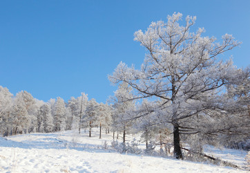 Similar image 499451