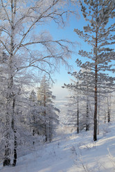 Similar image 499452