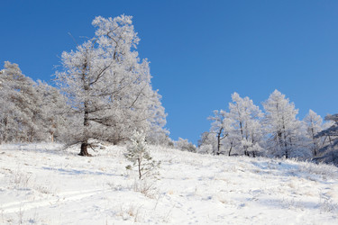 Similar image 499453