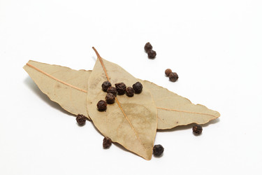 Similar image 499458