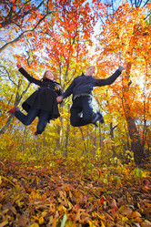 Similar image 499481