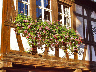 Similar image 499491