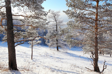 Similar image 499497