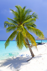 Similar image 499505