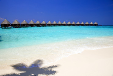 Similar image 499508