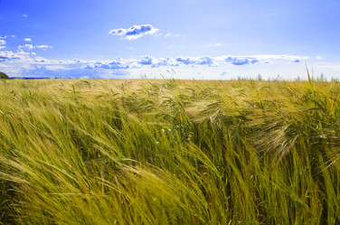 Similar image 499513