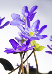 Similar image 499522