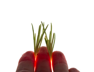 Similar image 499536