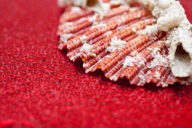 Similar image 499543