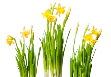 Similar image 499585