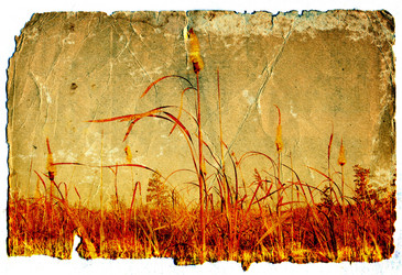 Similar image 499615