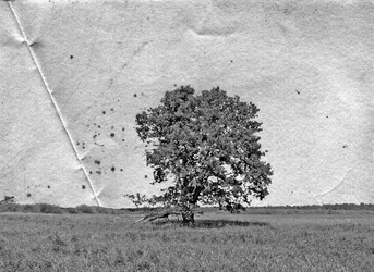 Similar image 499617