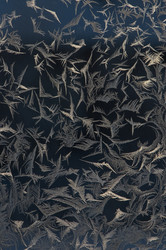 Similar image 499620