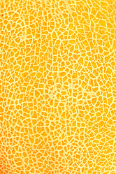 Similar image 499622