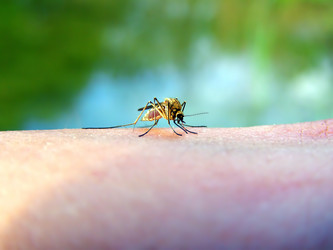 Similar image 499634