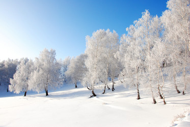 Similar image 499637