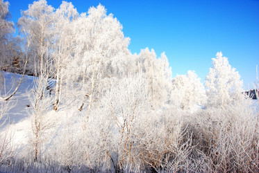 Similar image 499643